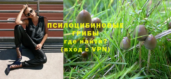 не бодяженный Алзамай