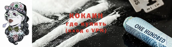 соль ск Алексин