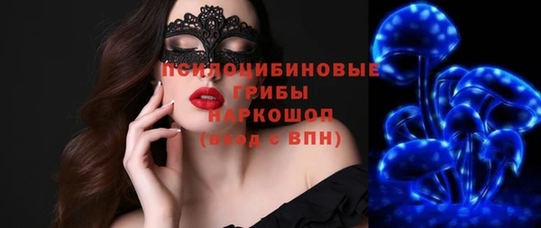 индика Армянск