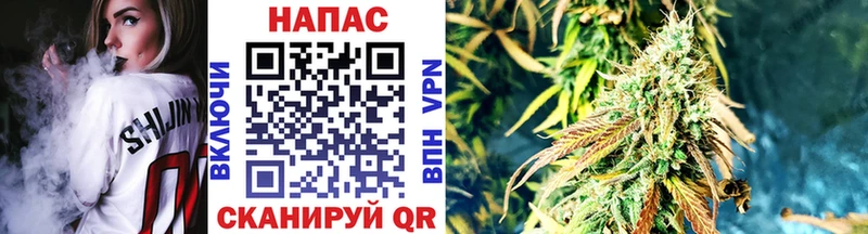 Конопля MAZAR  Купить закладки  Тихвин 